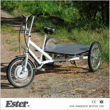 Electric Cargo delivery trike