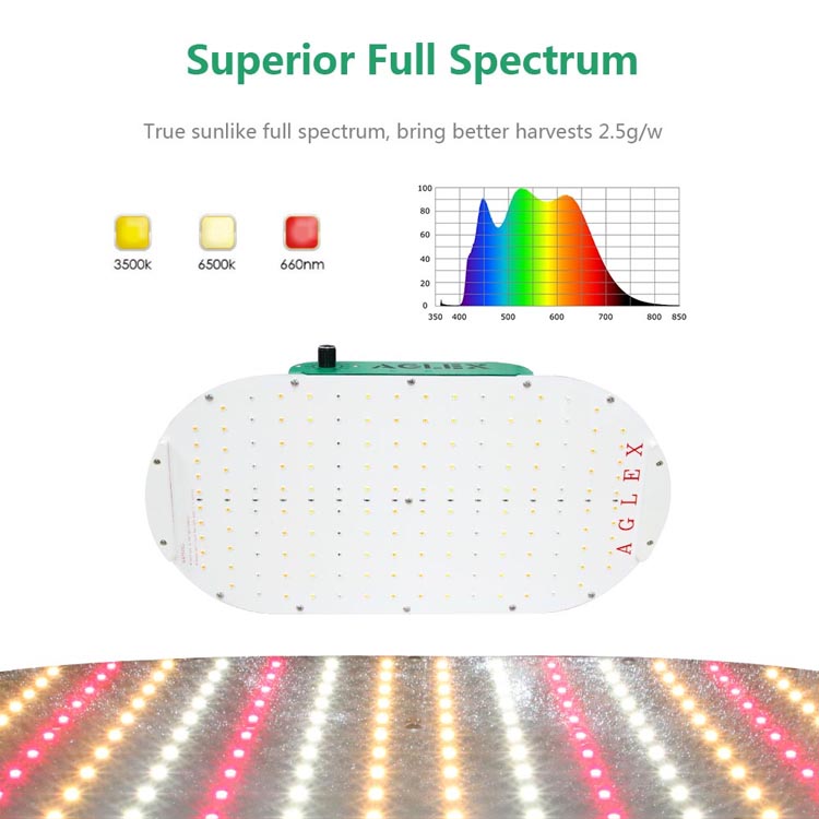 Hydroponics Full Spectrum 100W QB LED Grow Light