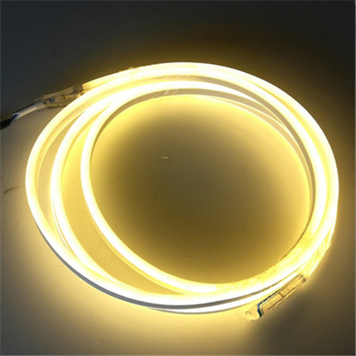 Ordinary Flexible LED Strip Light