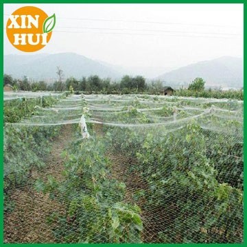 Extruded plastic netting,Bird pest control extruded netting