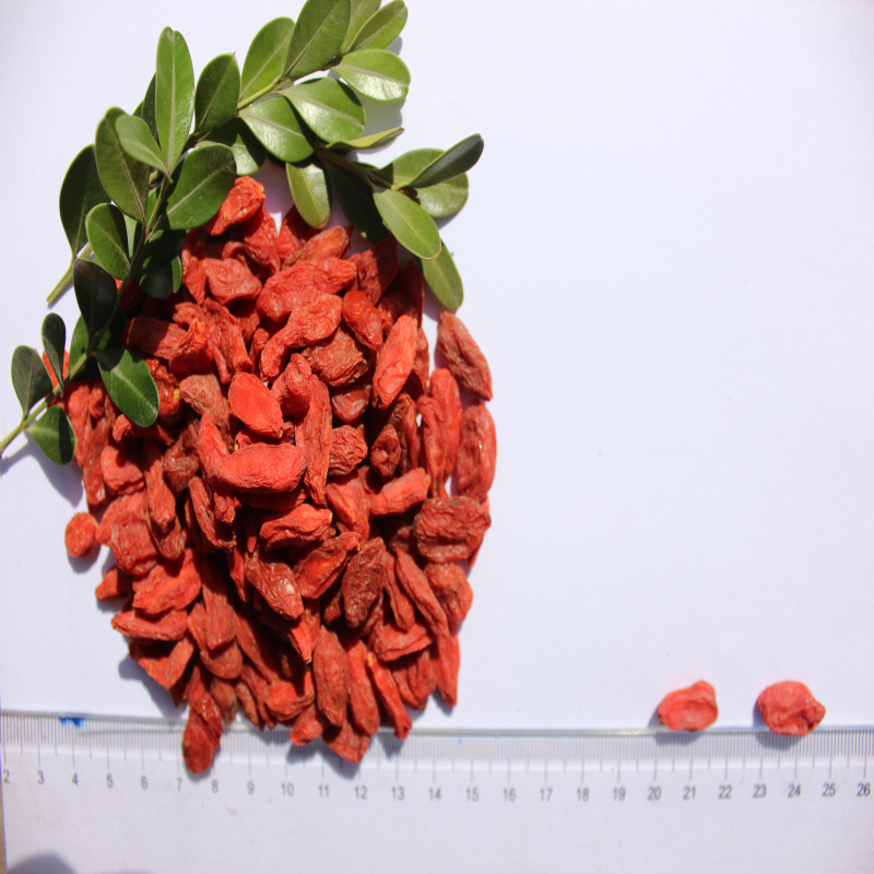 Goji Berry ราคาถูก