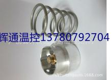 125657-059 ELEMENT,VALVE,THERMO,160F