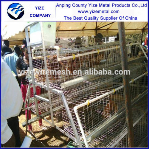 poultry Egg Layer Chicken Cage/A Type Layer Breeding Cage for Tanzania Poultry Farm