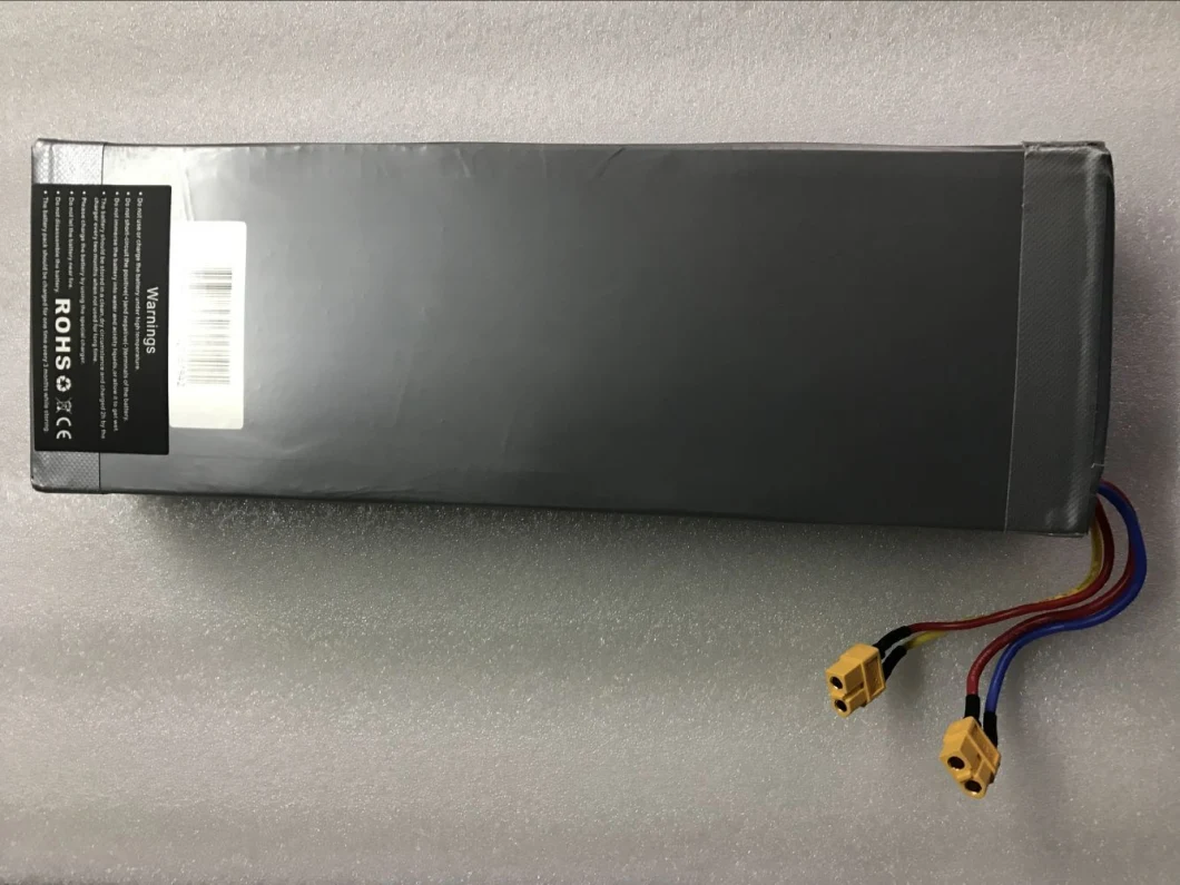 Customized Lithium-Ion E-Bike Battery 36V 10ah for Electric Bicycle 360wh with BMS Inside