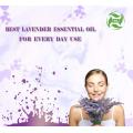 Top Grade Beauty Product Organic Lavender Essential Oil