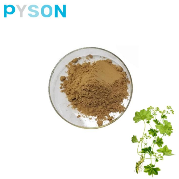 Alchemilla Vulgaris Extracts powder