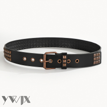 Y2K Nightclub Punk Sexy Rivet Belt?