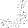 Acemannan CAS 110042-95-0