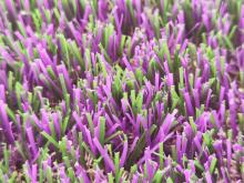 Cheap Price Combined Artificial Grass Yarn