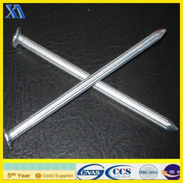 polished stainless steel nails/stainless steel concrete nail/concrete steel nail