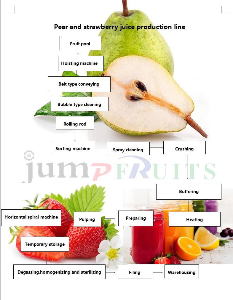 pear and strawberry juice production line