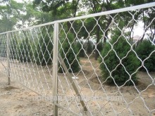 stainless steel security guarding wire mesh