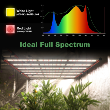 Farmer Lights LM301H / B / 281B COMMERCIAL 800W LED CLUS