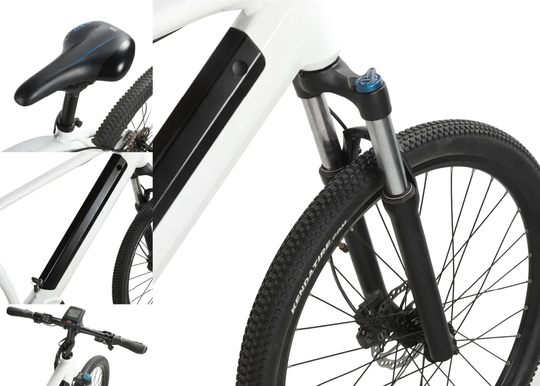 New Style Hidden Battery Suspension Electric Mountain Bicycle