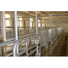 Automatic fishbone milking parlor