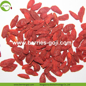 Factory Supply Hälsosam Bulk Fruit Product Goji