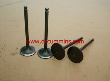 Cummins High Quality Intake Valve 4995554