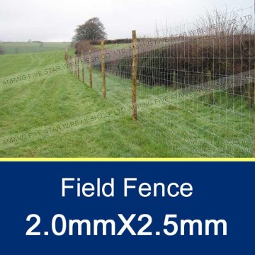 2.0x2.5mmx50m Agricultural Fence