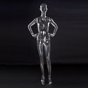 China fashion pc material full body sexy tailors dummy for sale