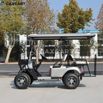 Environmentally Friendly Golf Carts with Pink Tires and Wheels - Energy Saving Import from China