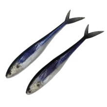 Soft Plastic Shad Lures - Fishing Tackle for Bass and More