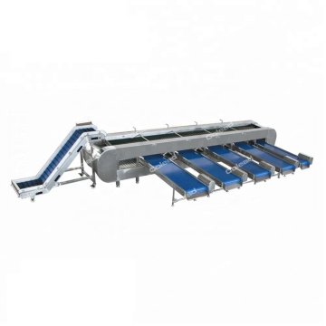 Vegetable Sorting and Grading Machine