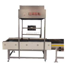 Factory DWS System: Equipment for Dimension and Weight Scanning in Logistics and Express Services