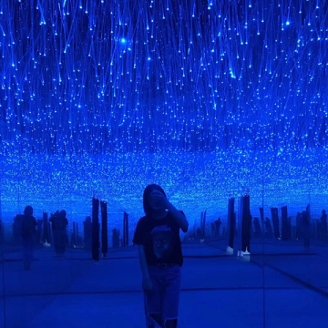 Led fibre optic lamp Kit