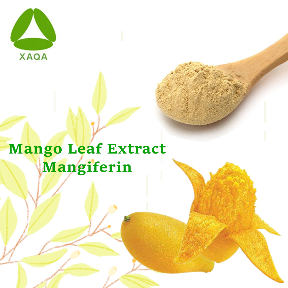 Антиопухолевая манго лист экстракт мангиферин порошок 95% ВЭЖХ
