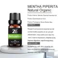 Mentha Piperita muhimu mafuta ya mitishamba kwa matumizi ya aromatherapy