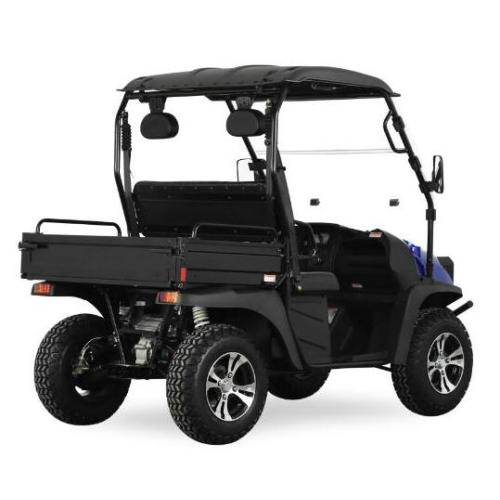 5KW Electrical UTV con CEE para el trabajo