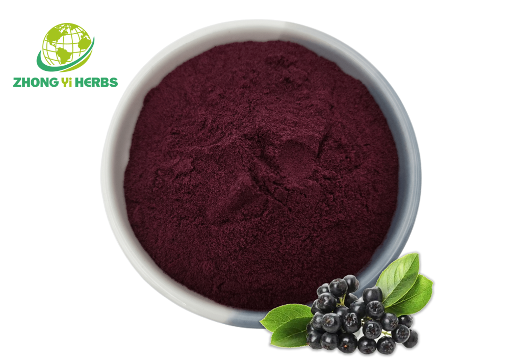 Bilberry powder Bilberry powder