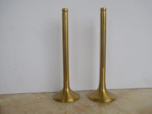 Inlet&Oulet Engine Valve for Racing Car Engine