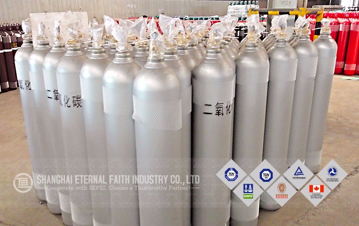 SEFIC brand high pressure carbon dioxide co2/Argon/Nitrogen/Oxygen gas cylinder