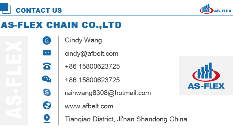 Customized Multi-purpose Plastic Table/Flat Top Chain Conveyor