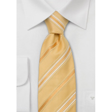 Men's Fashional Silk Neck Tie