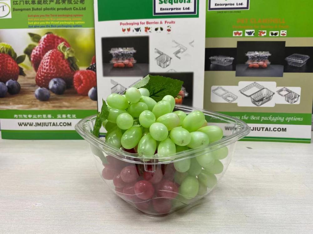 Imballaggio di frutta/insalata in plastica trasparente PET