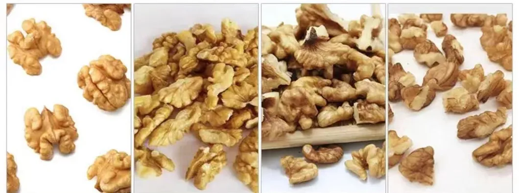 Yunnan 103 and Dapao Thin Shell Extra Light Walnut Kernel for Bakery