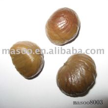 peeled roasted chestnut