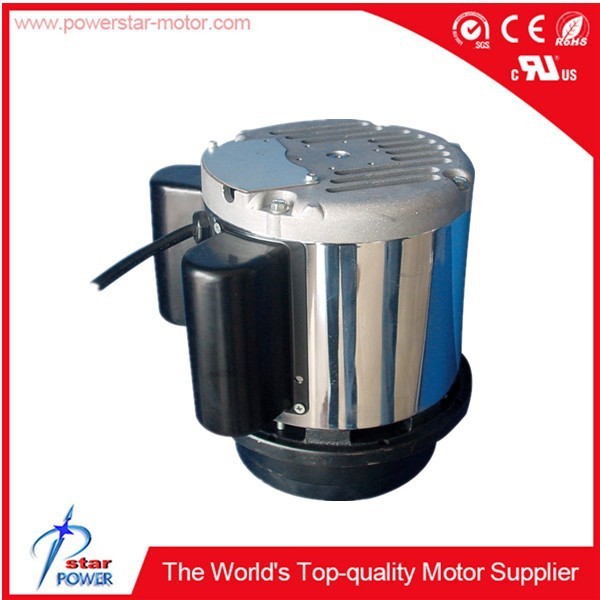 Hot Selling Professional Trustworthy Electric Floor Polishing Motor