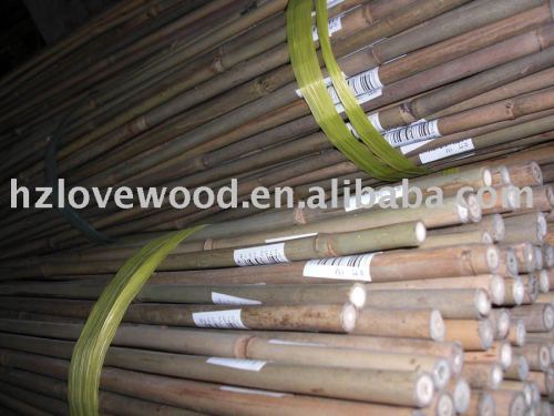 Bamboo Garden Cane