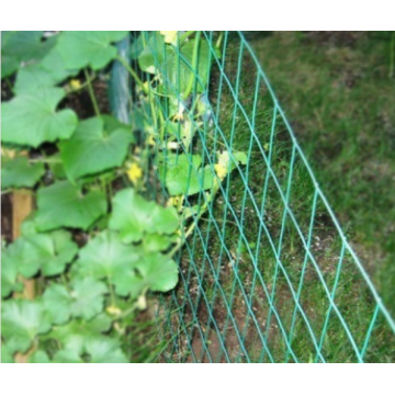 Filet de jardin d&#39;agriculture de maille en plastique expulsé