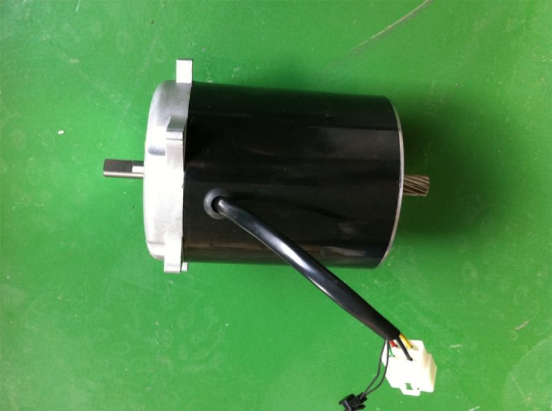 DC Electric Brushless Motor