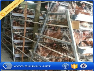 china alibaba 4 layers chicken cage/chicken cage for sale/chicken laying cage