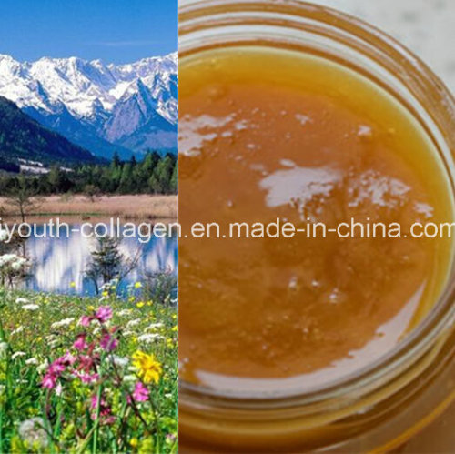 Top Honey, 100%Natural Organic Chinese Herbal Medicine Honey, Wild/Soil Honey, Ripe Honey, No Antibiotics, No Pesticides, No Pathogenic Bacteria, Health Food