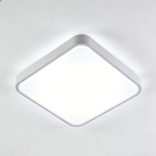 Matte finish ceiling light LED