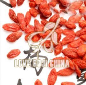 Low Pesticide Conventional Dried Plump Goji Berries