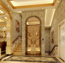 3 Person Home Elevator