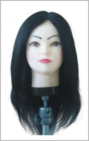 DUMMY HEAD FOR TRAINING,HAIRDRESSING