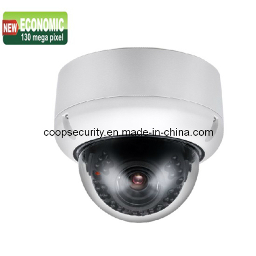 IP66 Ik10 Vandalproof 1.3 Megapixel Dome IP Security Camera (HD13VDSR)